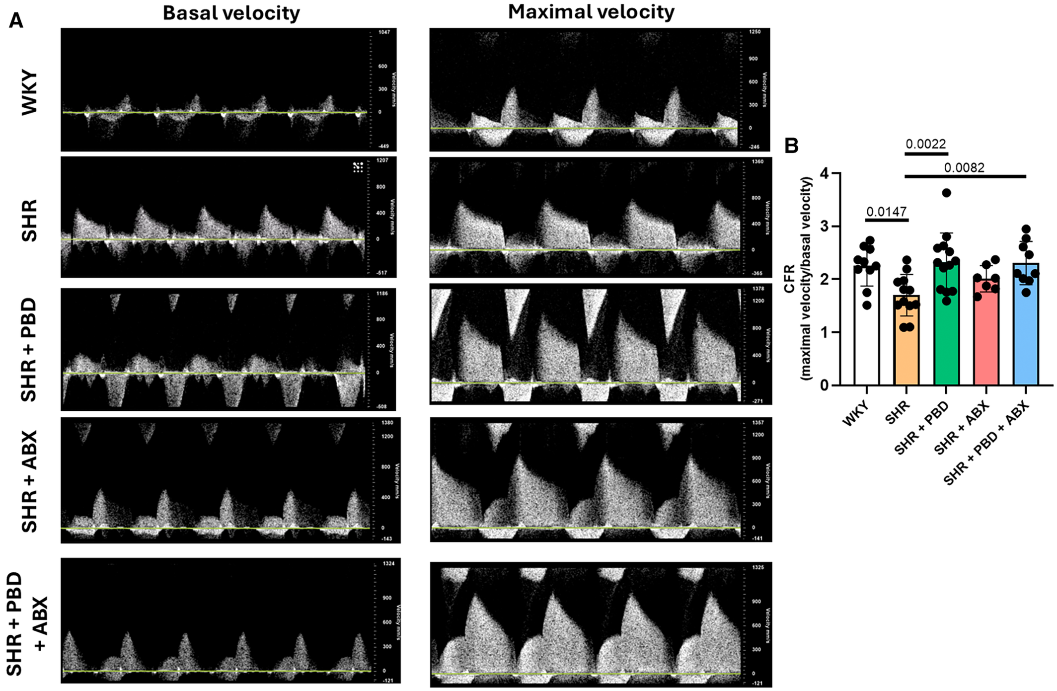 Coronary microvascular function during the prevention phase (week 24).