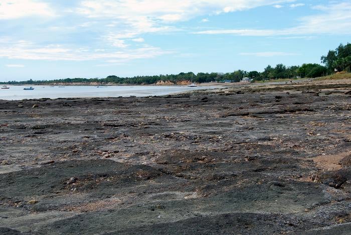 115 million year old sea floor deposits exposed near Darwin in northern Australia. These rocks produce fossils of an ancient marine ecosystem that included the earliest modern shark mega-predator. 