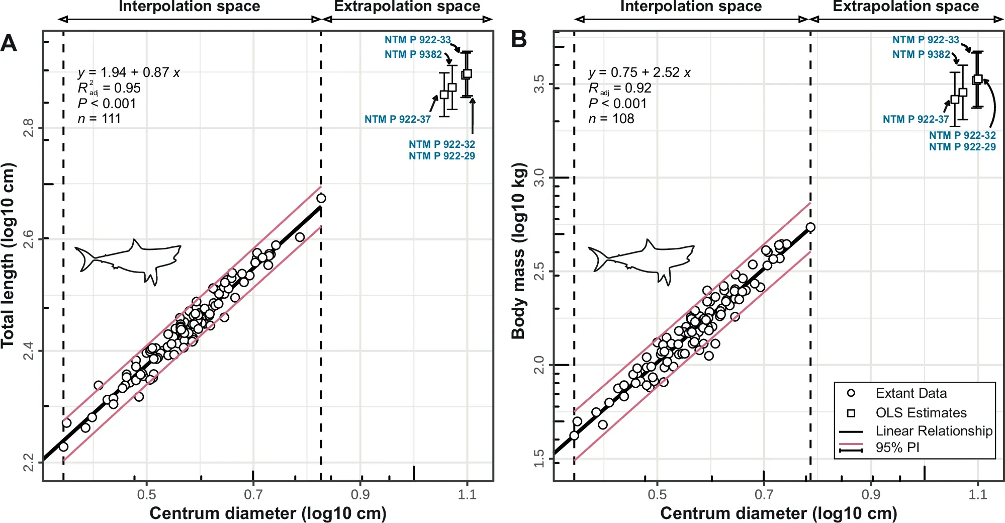 Graphs showing A TL and B BM predictions for the Darwin Formation cardabiodontid vertebral centra with 95% prediction intervals plotted in log-space.