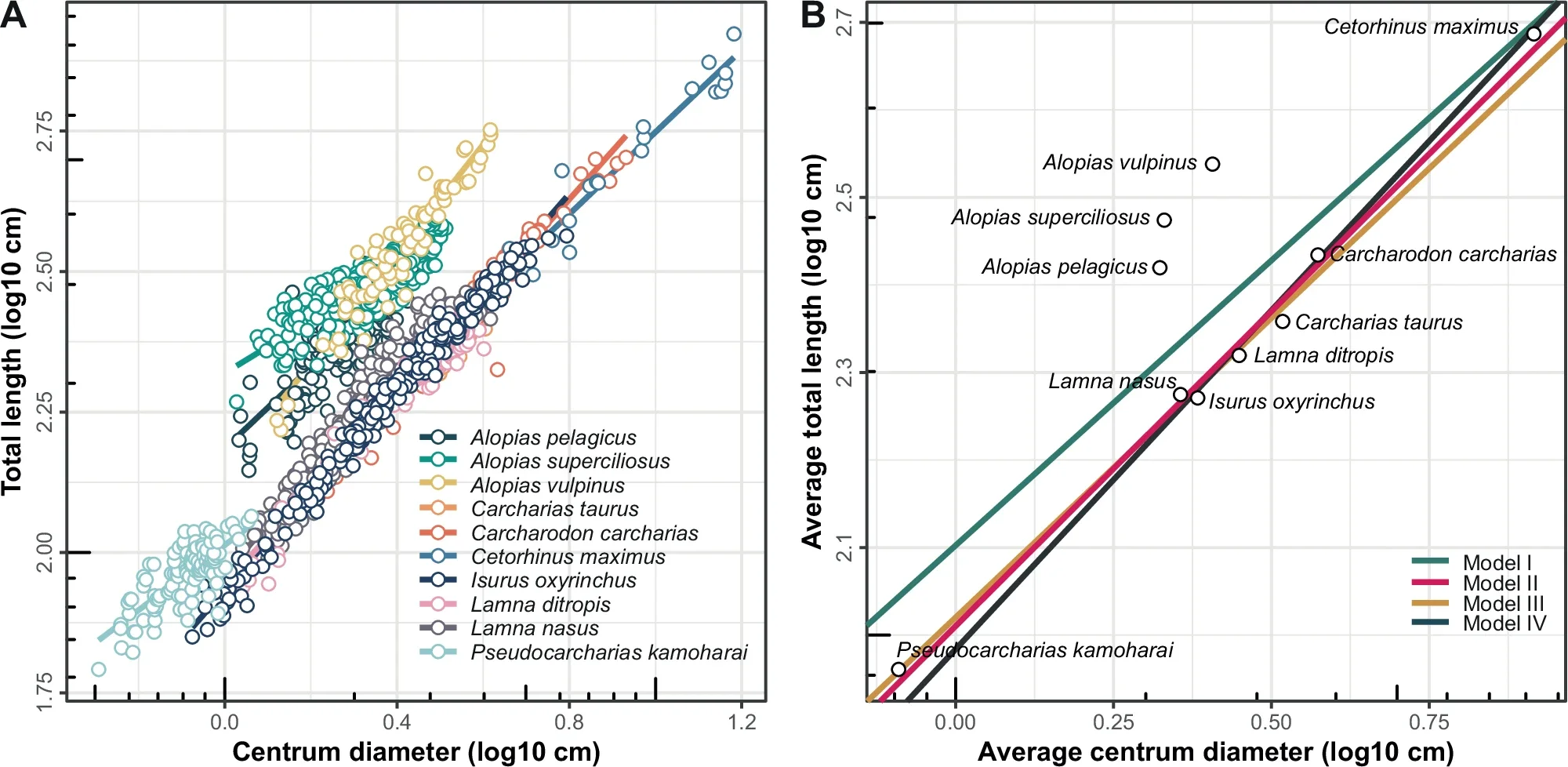 Bivariate log-log plots showing A intraspecific relationships between log-transformed CD and TL; B non-phylogenetic interspecific relationships between average log-transformed CD and TL.