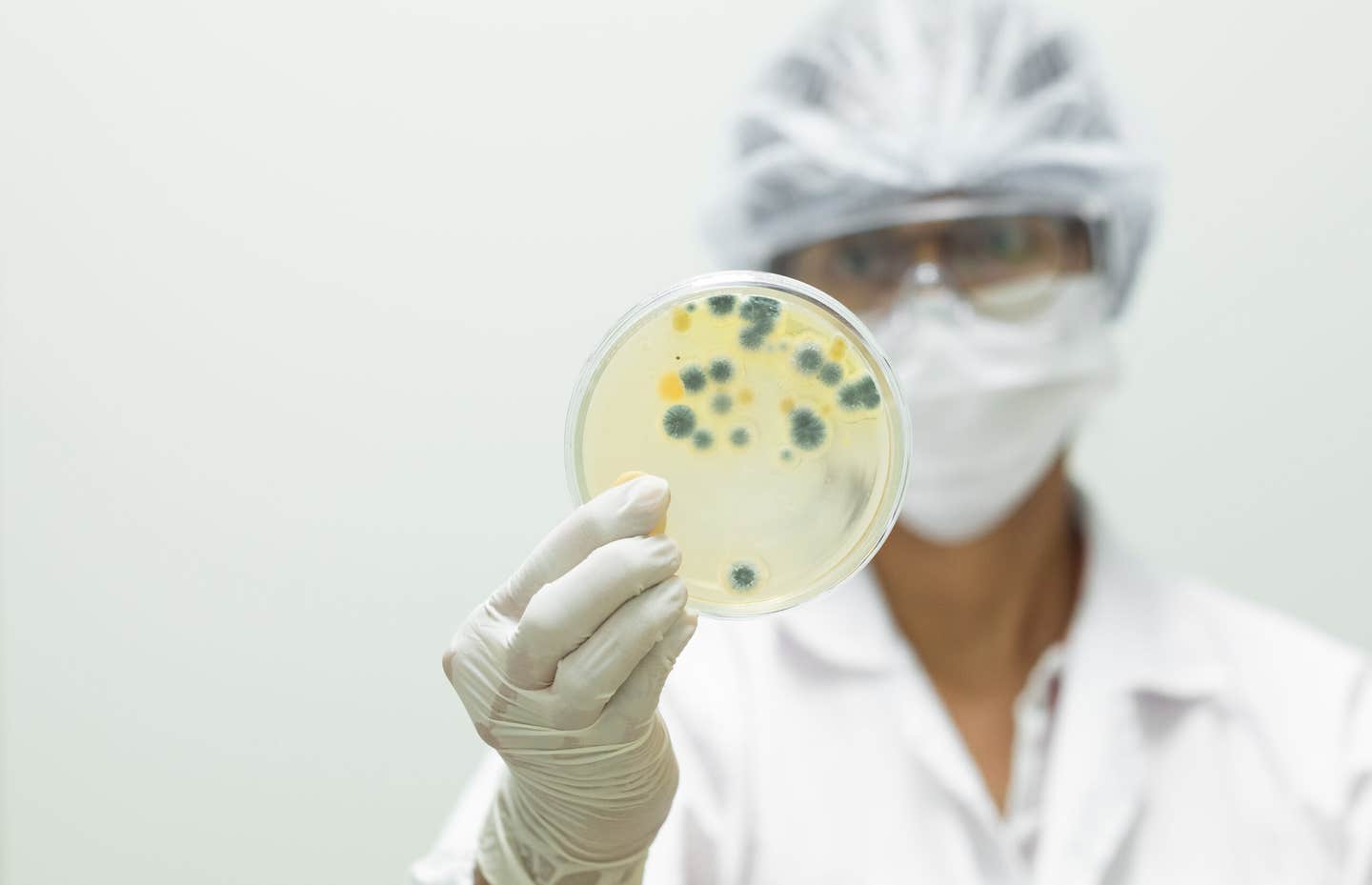 The result is a single framework that explains why growth always rises with more nutrients, yet rises less sharply each time you add more.