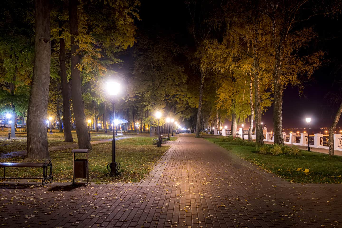 New research shows nighttime light boosts carbon release across ecosystems