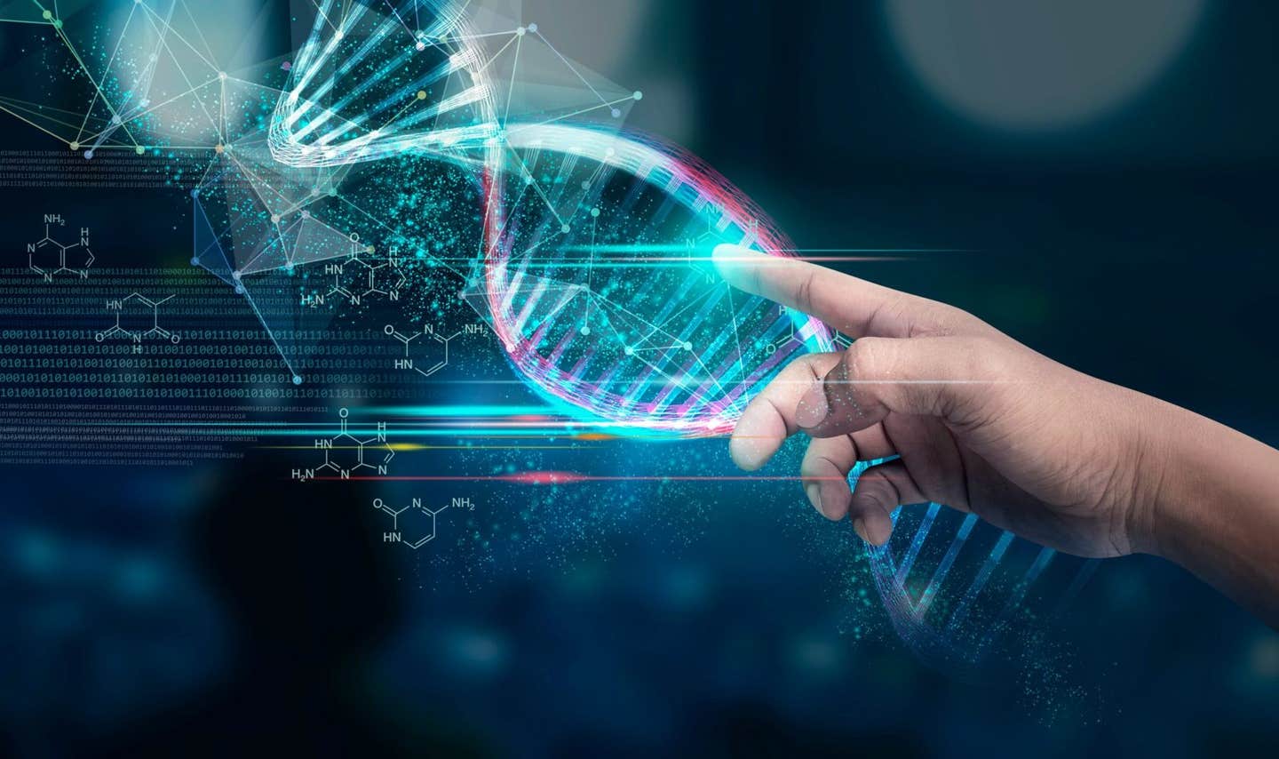 A new study shows that evolution may look neutral only because shifting environments prevent helpful mutations from taking over.