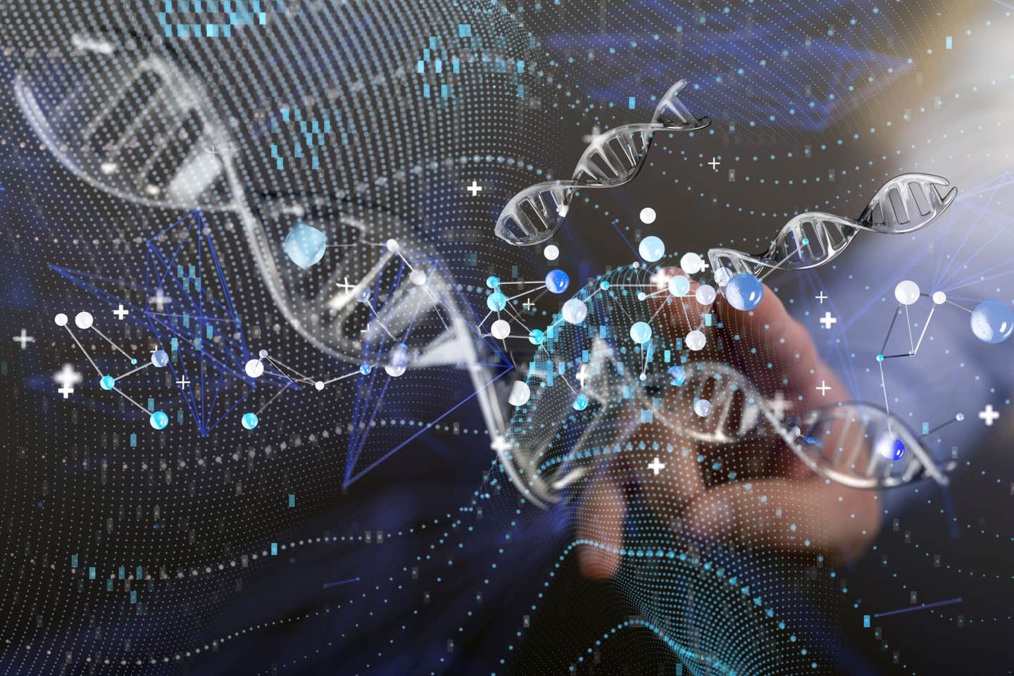Researchers at Hebrew University have built a molecule that erases harmful RNA linked to cancer and aging
