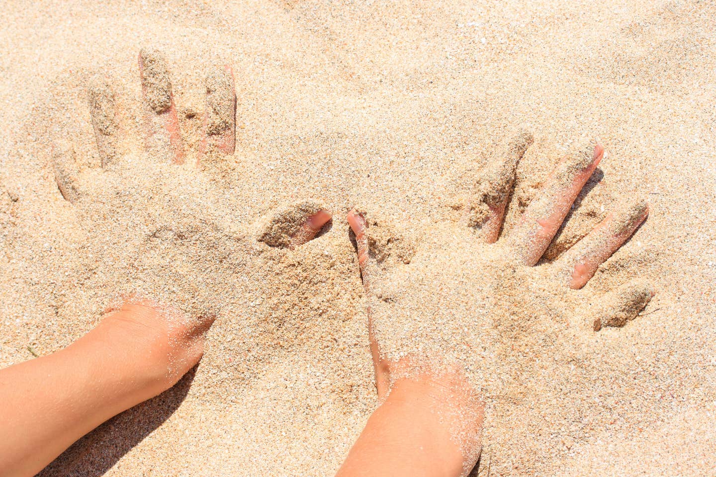 A new study reveals that you can sense objects buried in sand before touching them