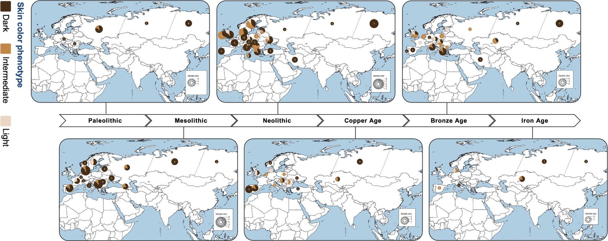 Temporal and geographical distribution of skin pigmentation estimates in Eurasia from Paleolithic to Iron Age. The maps illustrate the spatial and temporal distribution of the inferred skin pigmentation phenotypes.