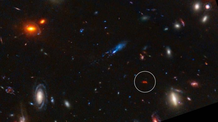Galaxy Y1 shines thanks to dust grains heated by newly-formed stars (circled in this image from the James Webb telescope). 