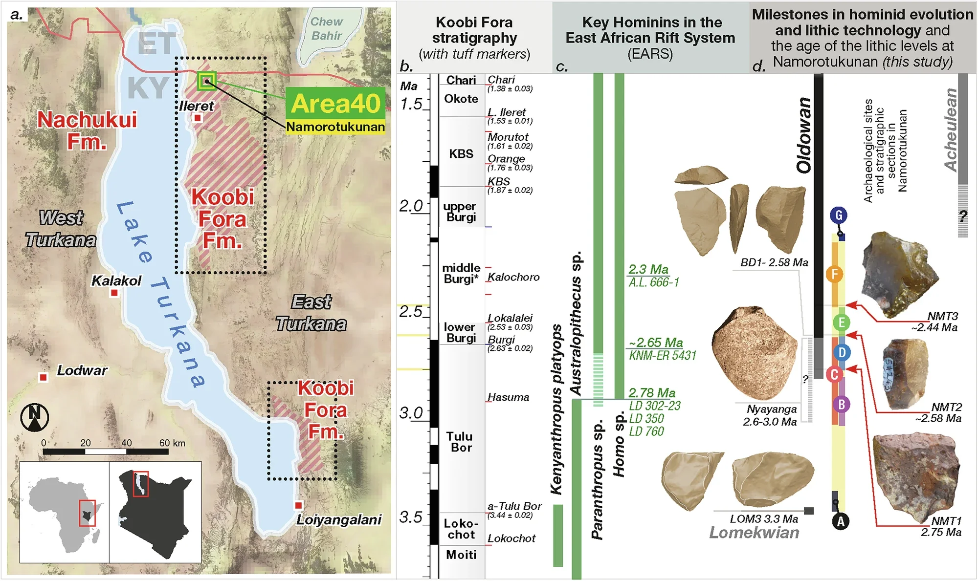 Map of Turkana Basin with the Namorotukunan Archeological Site and timeline of currently known events in the Plio-Pleistocene.