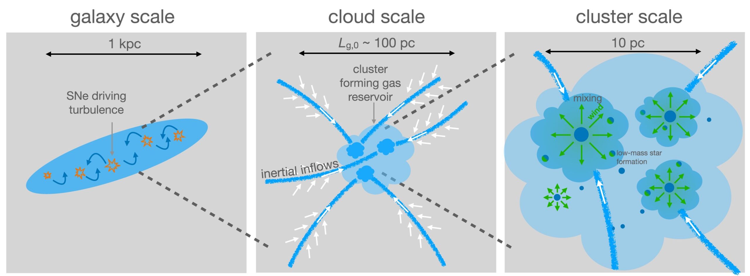 Schematic view of GC formation. Turbulence is driven by primarily by SNe on a scale of ~ 100 pc, leading to inertial flows on that scale.