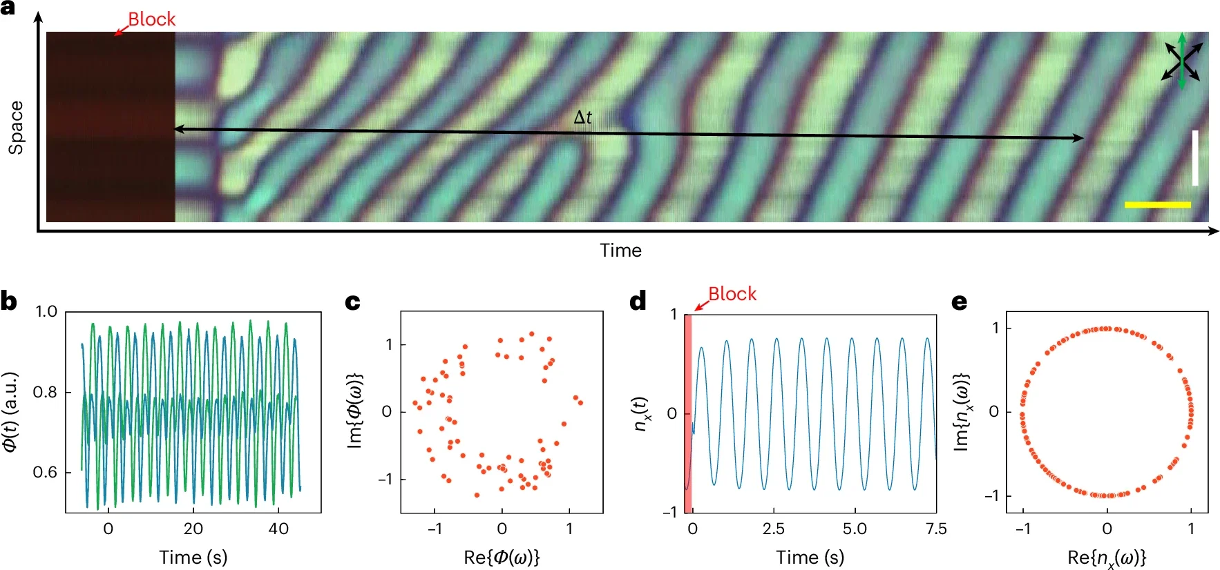 Space-time image of an experimental realization to measure the relative time phase.