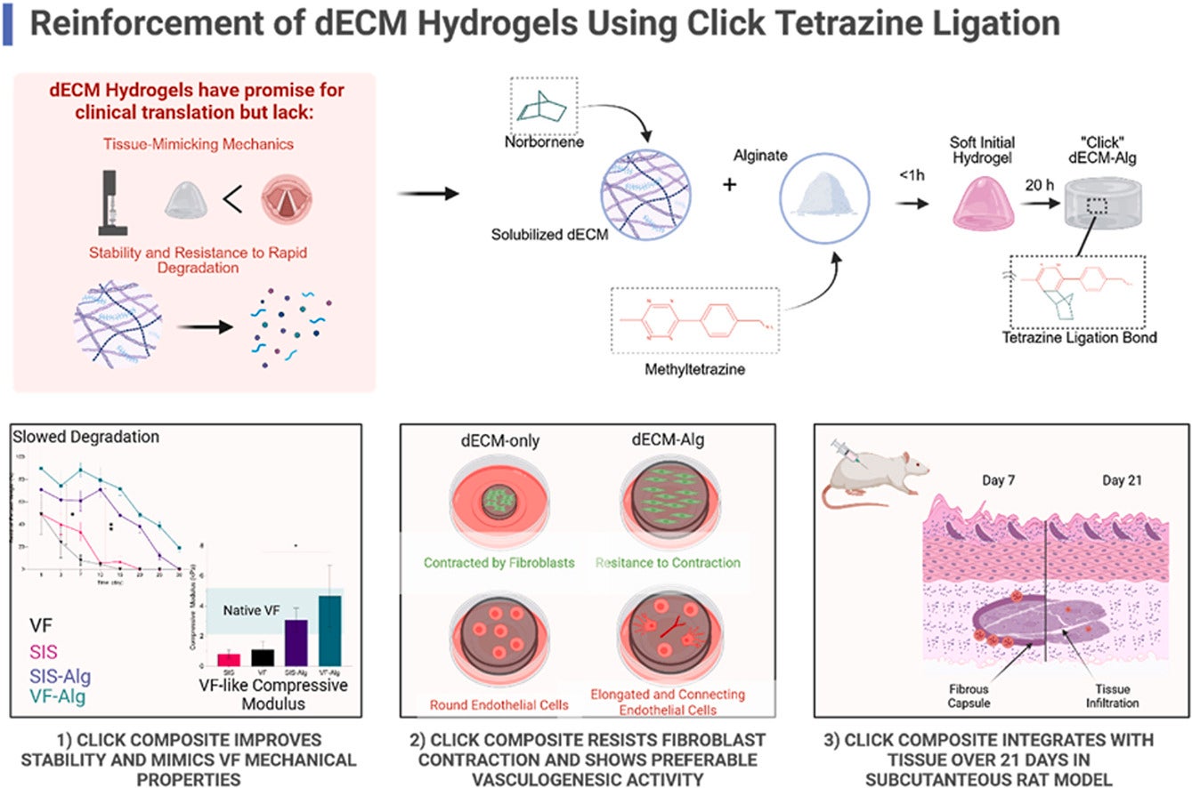 A graphical abstract of the study. 