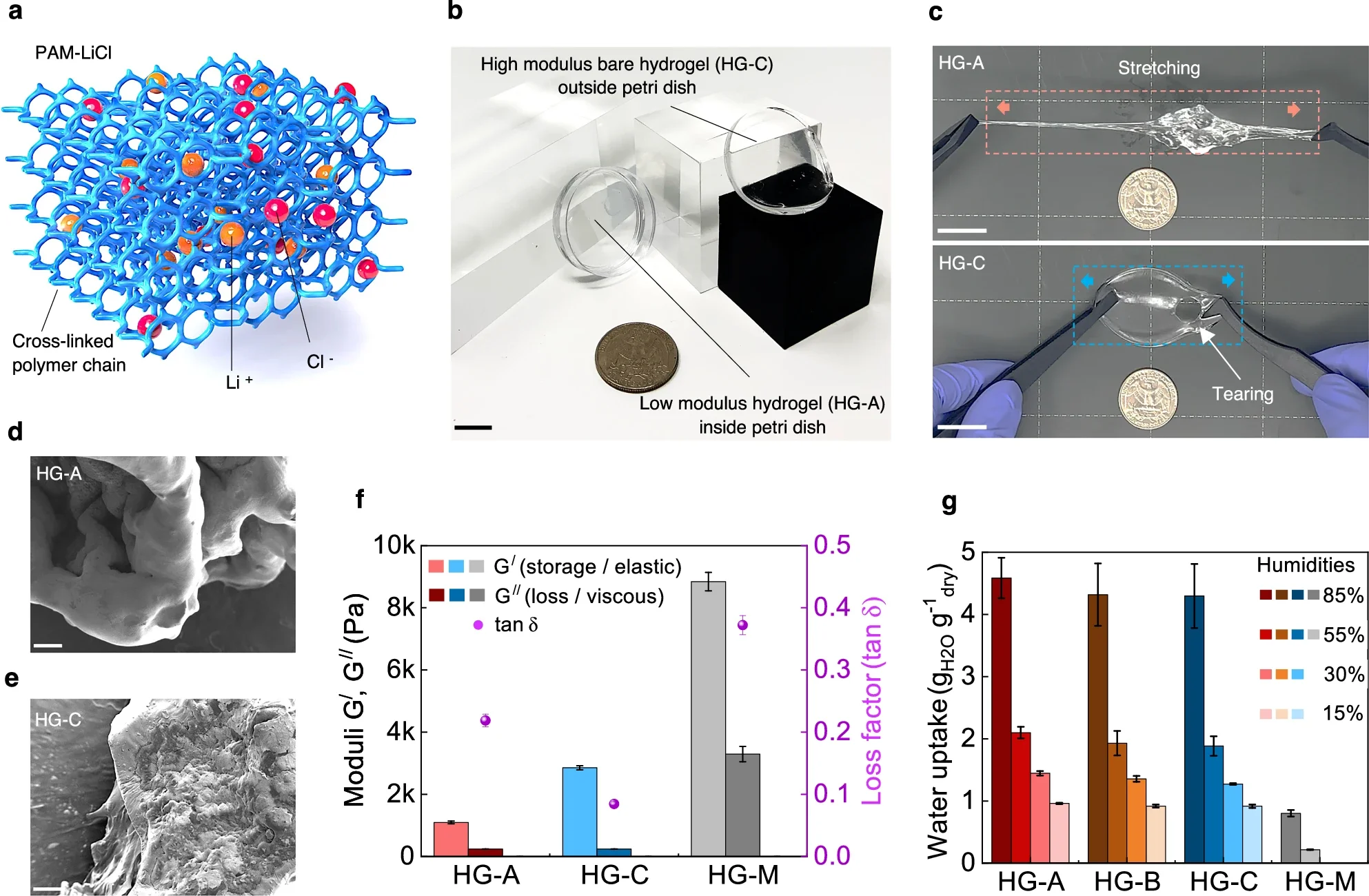 Morphology, water harvesting and rheological properties of AWH-Hs.