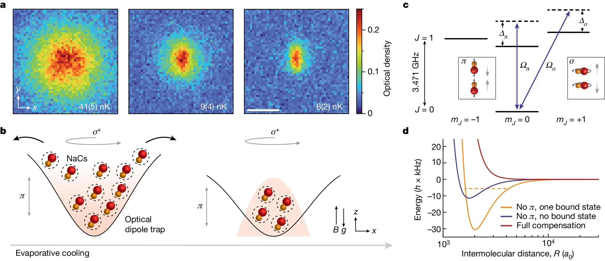 BEC of dipolar NaCs molecules enabled by microwave shielding.