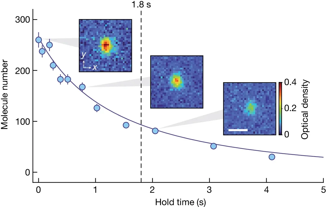 BEC lifetime. The BEC is held in the optical dipole trap for a variable hold time and the molecule number is recorded. 