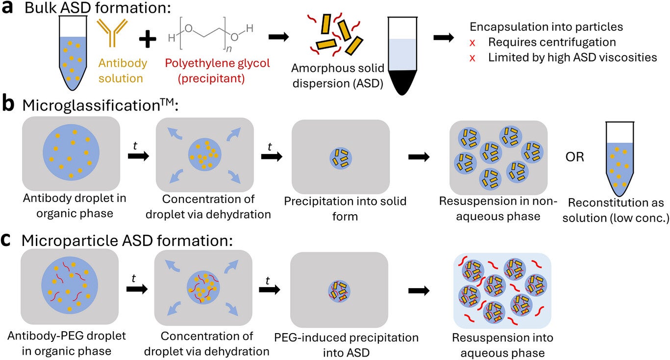 Previous process for formulating high-concentration solid antibodies in aqueous suspension.