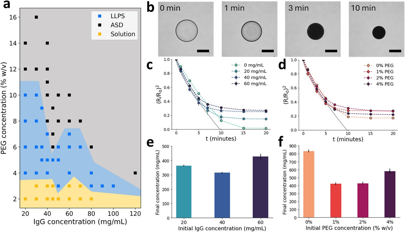 Phase diagram for IgG with varying PEG and IgG concentration, with discrete points correlating to experimental conditions and shaded areas corresponding to the estimated phase boundaries.