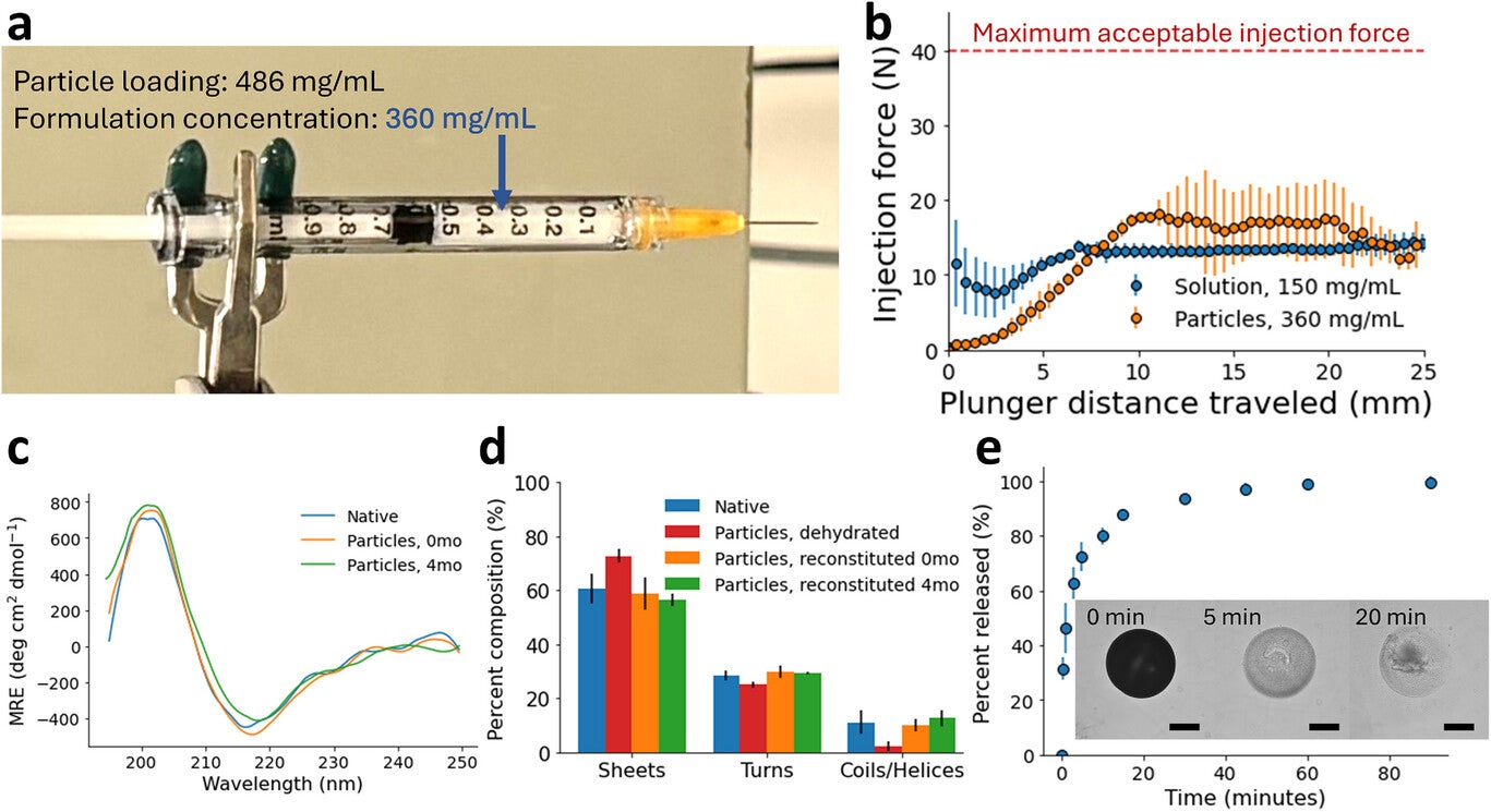 Digital camera image of a syringe loaded with the microparticle formulation at a formulation concentration of 360±9 mg mL−1.