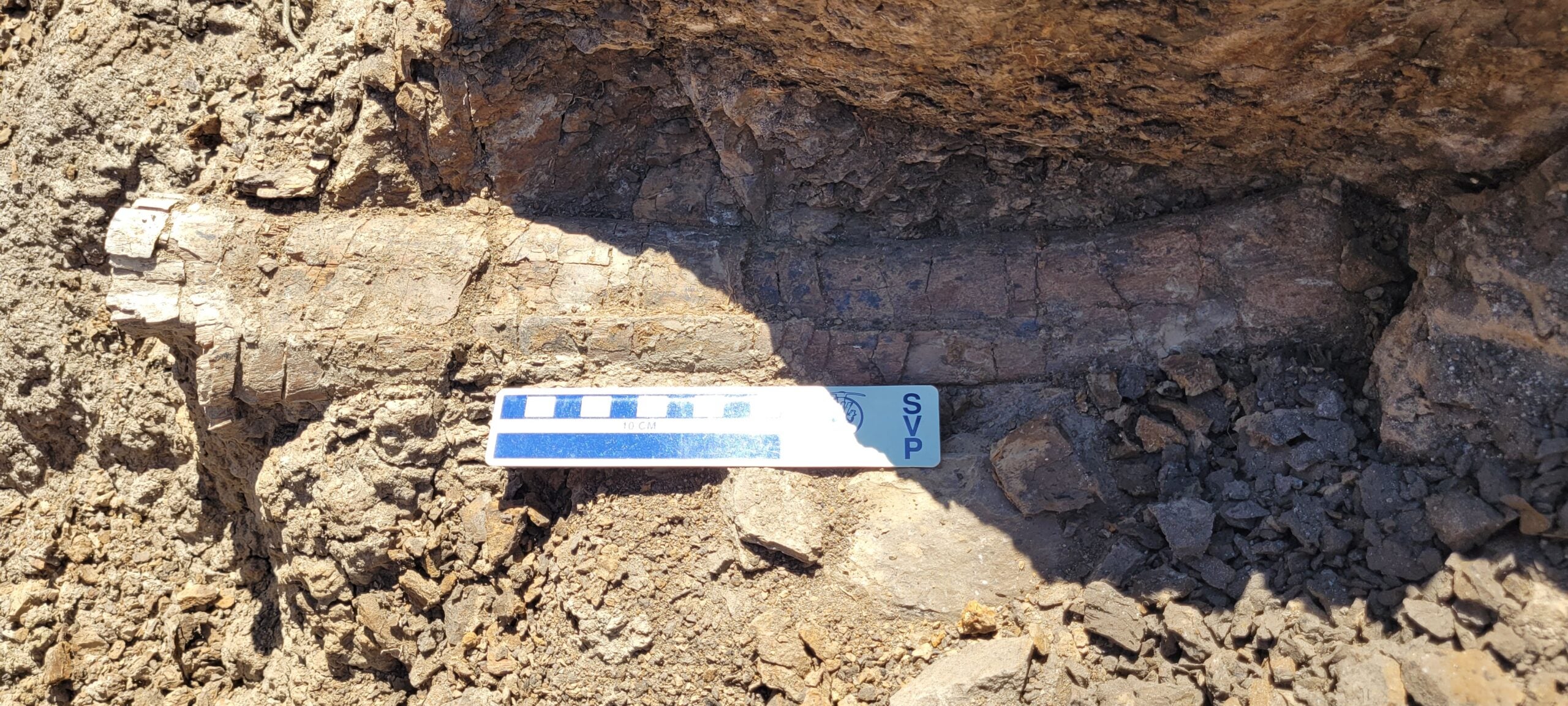 Edmontosaurus rib from locality, with Mindy Householder offering some shade for the photograph, Clint Boyd is seen photographing. 