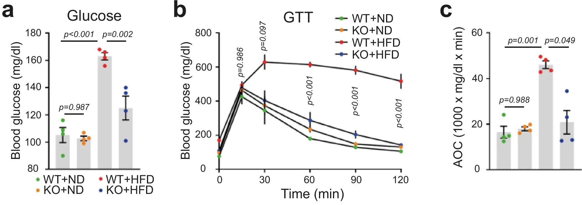 Blood glucose levels (a), GTT (b) and AOC (c) from the GTT on WT and RFP KO mice after ND or HFD feeding. n = 4.