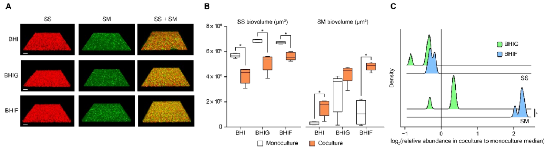 Effect of glucose and fructose supplementation on S. mutans-S. sanguinis interactions in mixed-species biofilms.