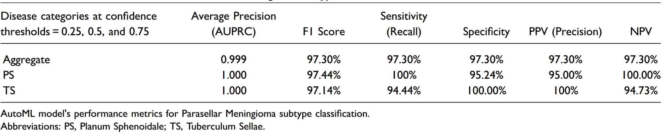 Table: AutoML model performance: Parasellar Meningioma subtype.