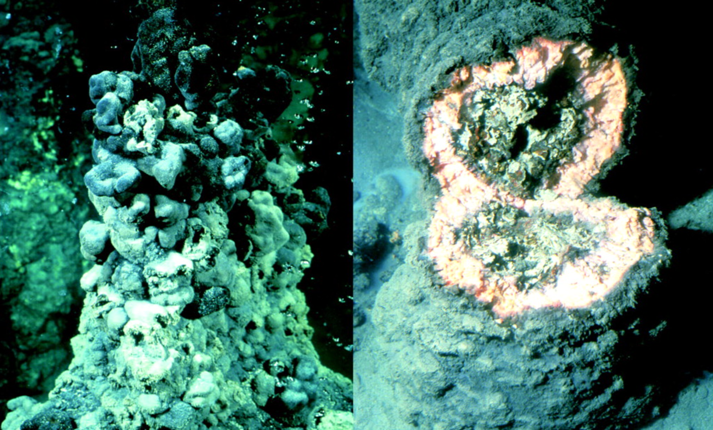 Image of microbial reef structures. A new study of the Black Sea shows that microbes in a thin, oxygen poor layer act like a biological filter, converting most nitrous oxide to harmless nitrogen gas before it can reach the surface. The work reveals a missing sink in the global N₂O budget and highlights how expanding low oxygen waters may reshape greenhouse gas emissions from the ocean.