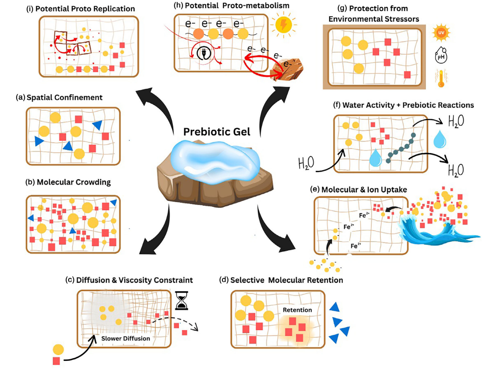 Summary of properties and characteristics of prebiotic gels that make them a suitable localized platform for supporting processes central to the formation of nascent biology at the OoL.