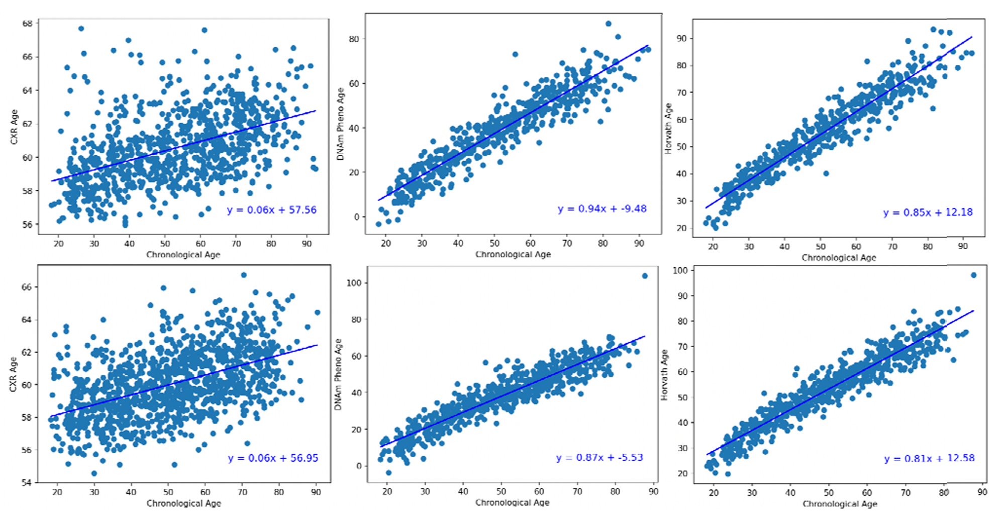Association of Chronological and Biological Age (CXR-Age, DNAm PhenoAge, Horvath Age) Stratified by male (top) and female (bottom) sex.