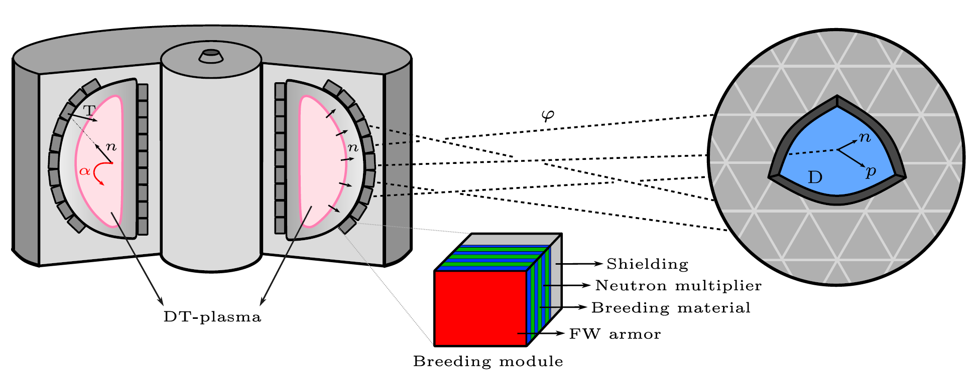 Schematic depiction of new physics production and detection in nuclear fusion facilities.
