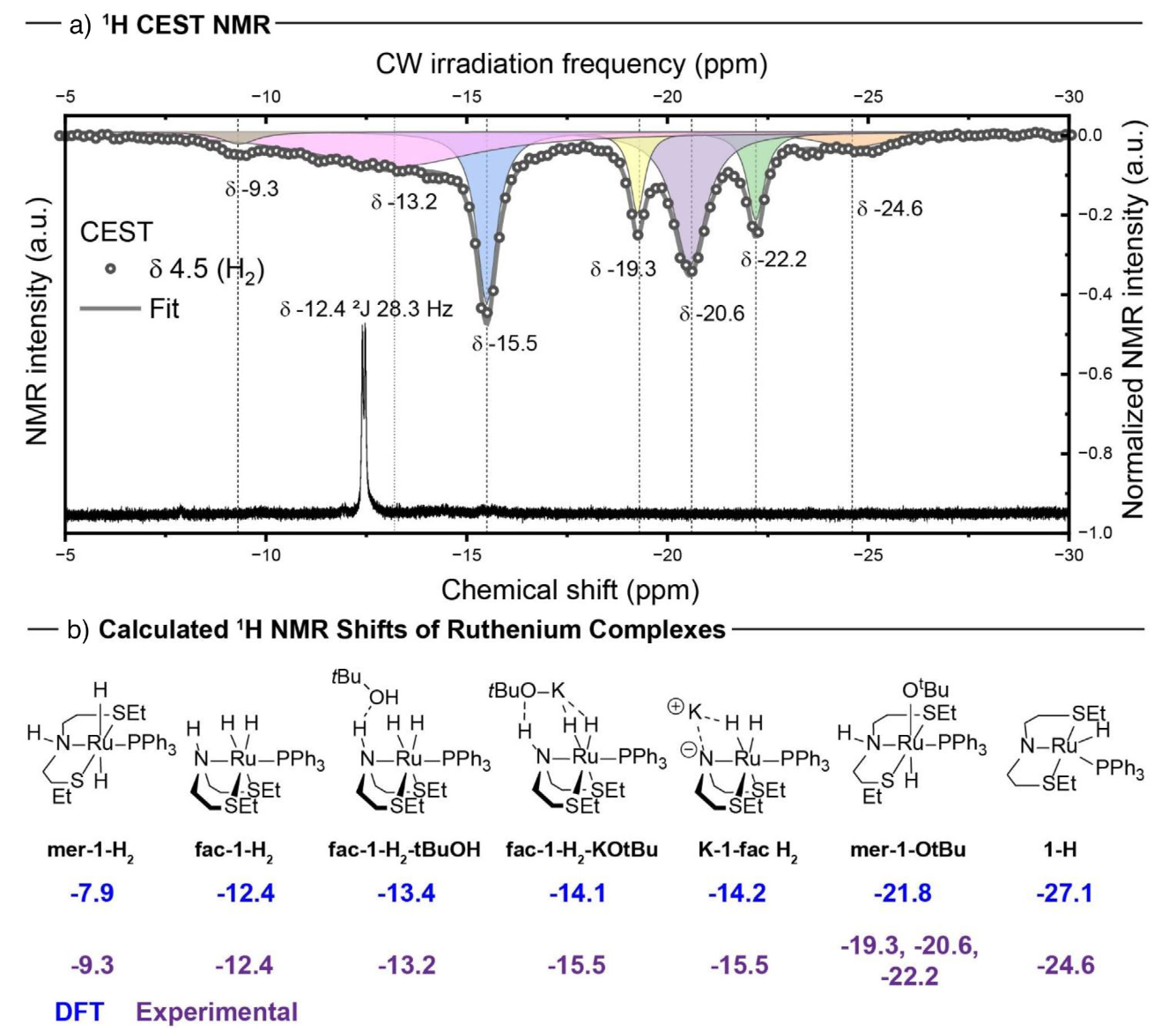 a) Representative 1H NMR (below) and 1H NMR CEST (above) spectra of solution from the reaction of complex 1 with 1.25 equiv. of KOtBu and 5 bar H2 in THF-d8 at 298 K. b) Assignment of signals in 1H NMR CEST using DFT calculated chemical shifts from 4c-DKS/PBE0/pcS-2//PBE0-D3(BJ)/def2-TZVPP/SMD(THF) level of theory.