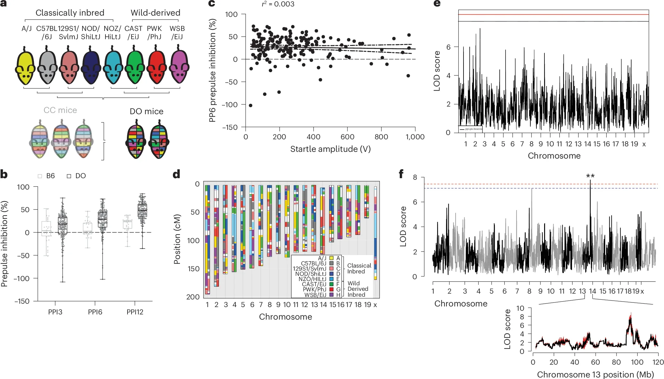 Identification of a QTL associated with pre-attentive processing.