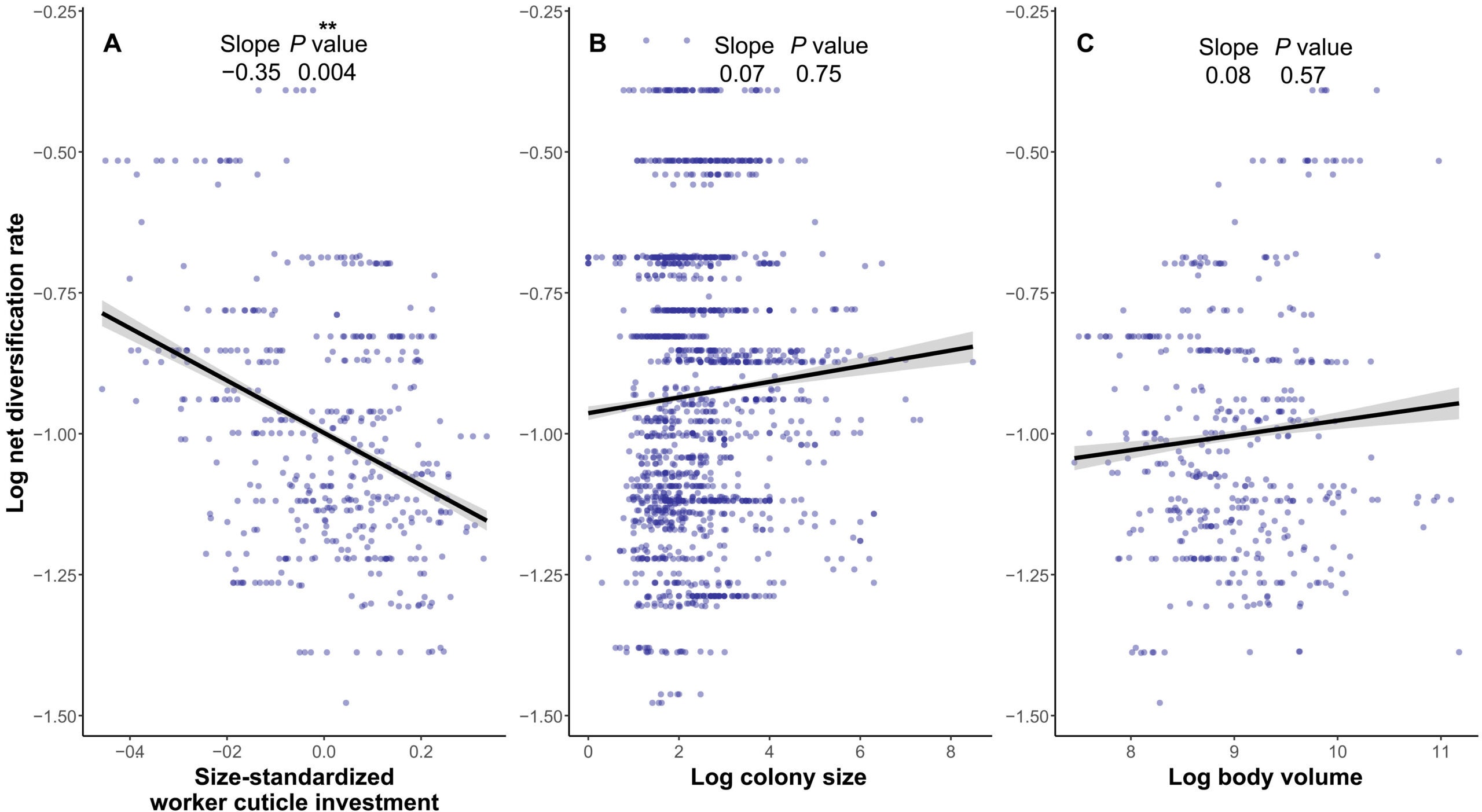 Reduced cuticle investment accelerated diversification rates.
