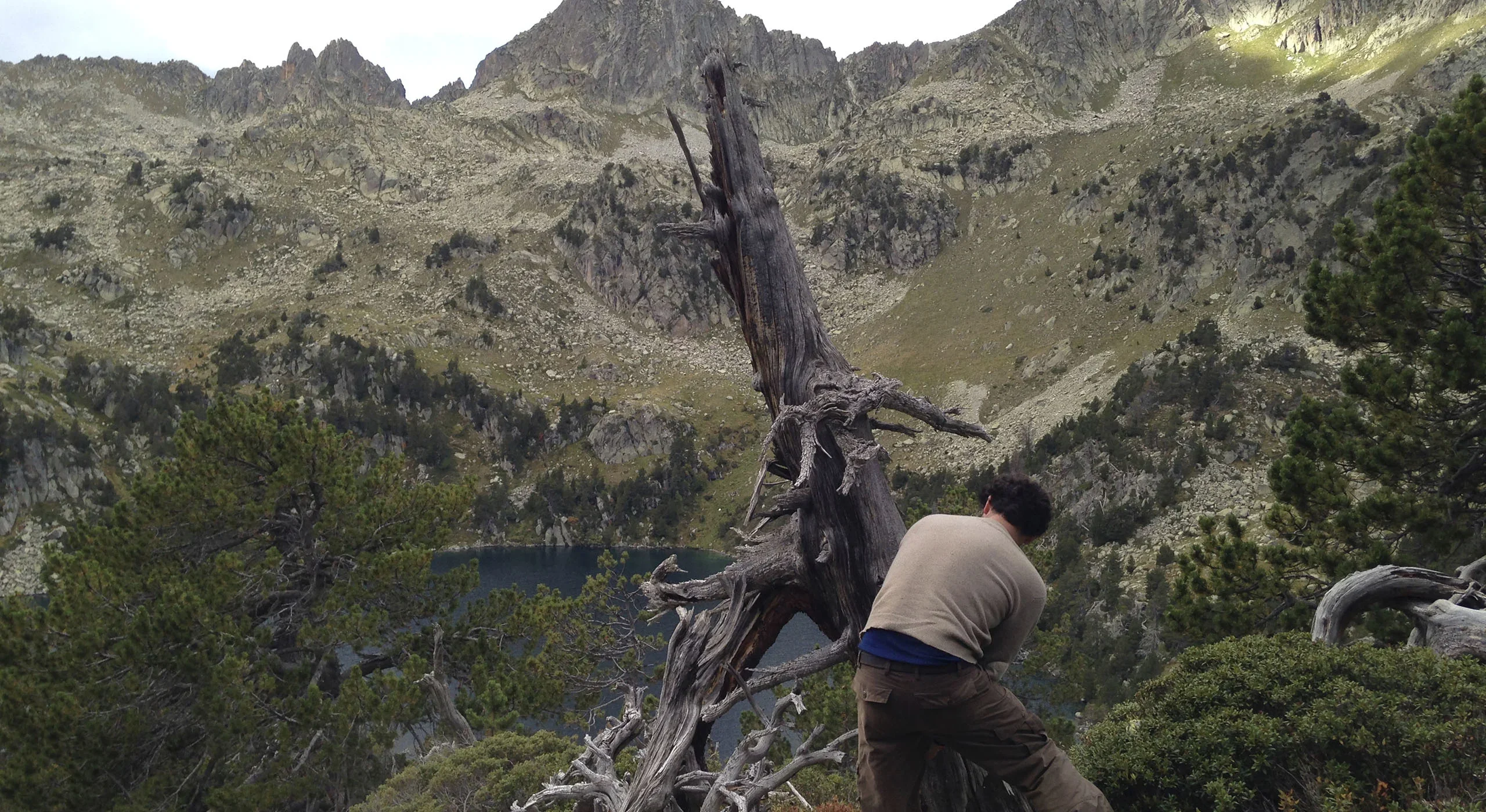 Professor Ulf Büntgen obtaining tree ring samples in the Pyrenees
