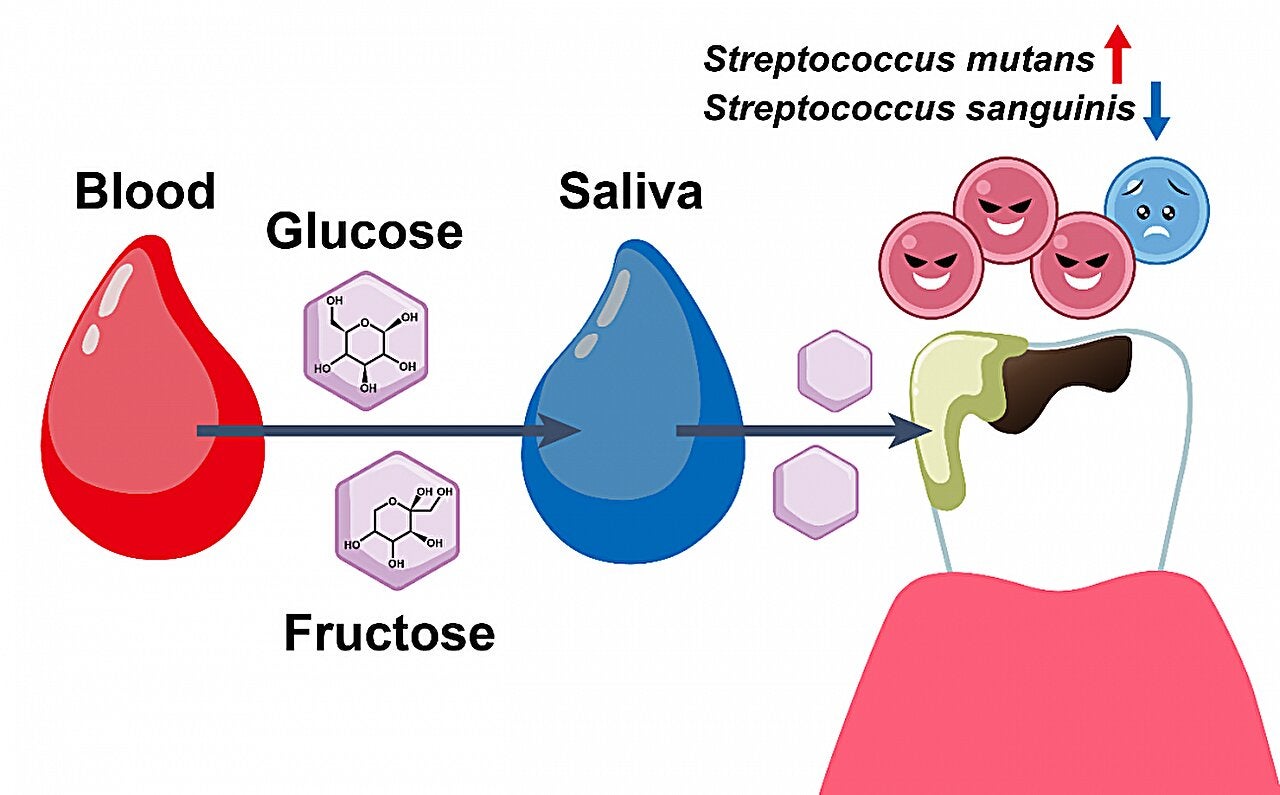 Schematic overview of the study.