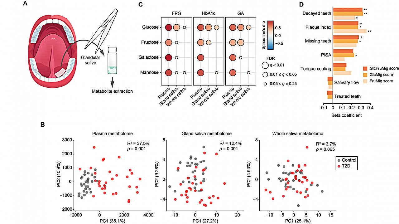 Sugar migration from blood to saliva and impact on oral health. (A) Schematic illustration of glandular saliva collection. (B) Principal component analysis of metabolomic profiles from blood as well as glandular, and whole saliva.