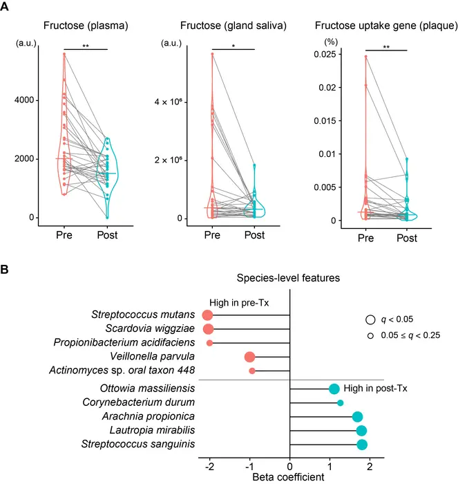 Effects of intensive glycemic control on sugar migration and the supragingival microbiome. (A) Changes in blood–saliva fructose migration and the abundance of fructose PTS genes in the supragingival microbiome following glycemic control. (B) Species-level changes associated with glycemic control. β coefficients were estimated using MaAsLin 2 models.
