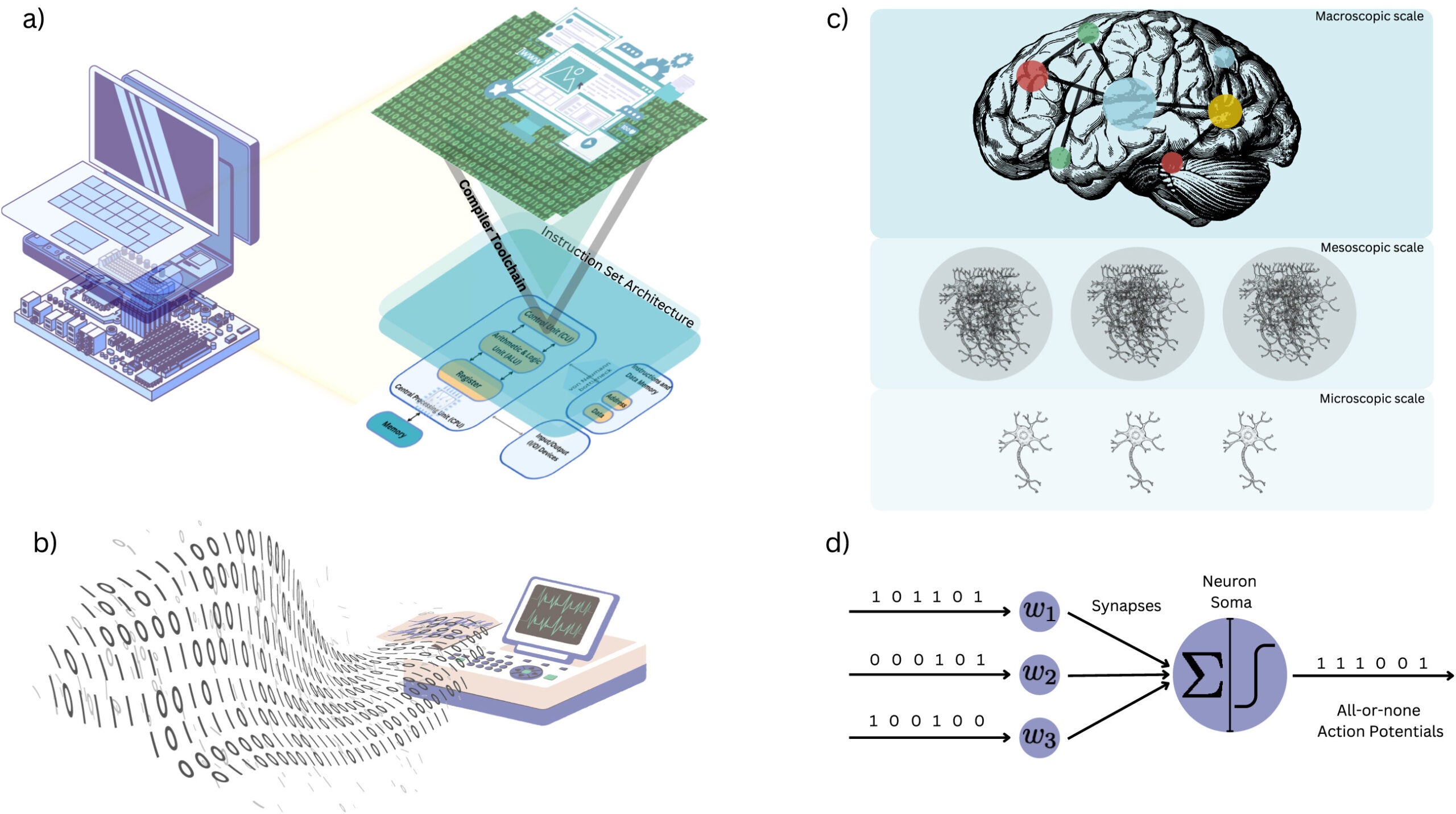 The persistence of the digital-and-discrete computation metaphor in neuroscience.