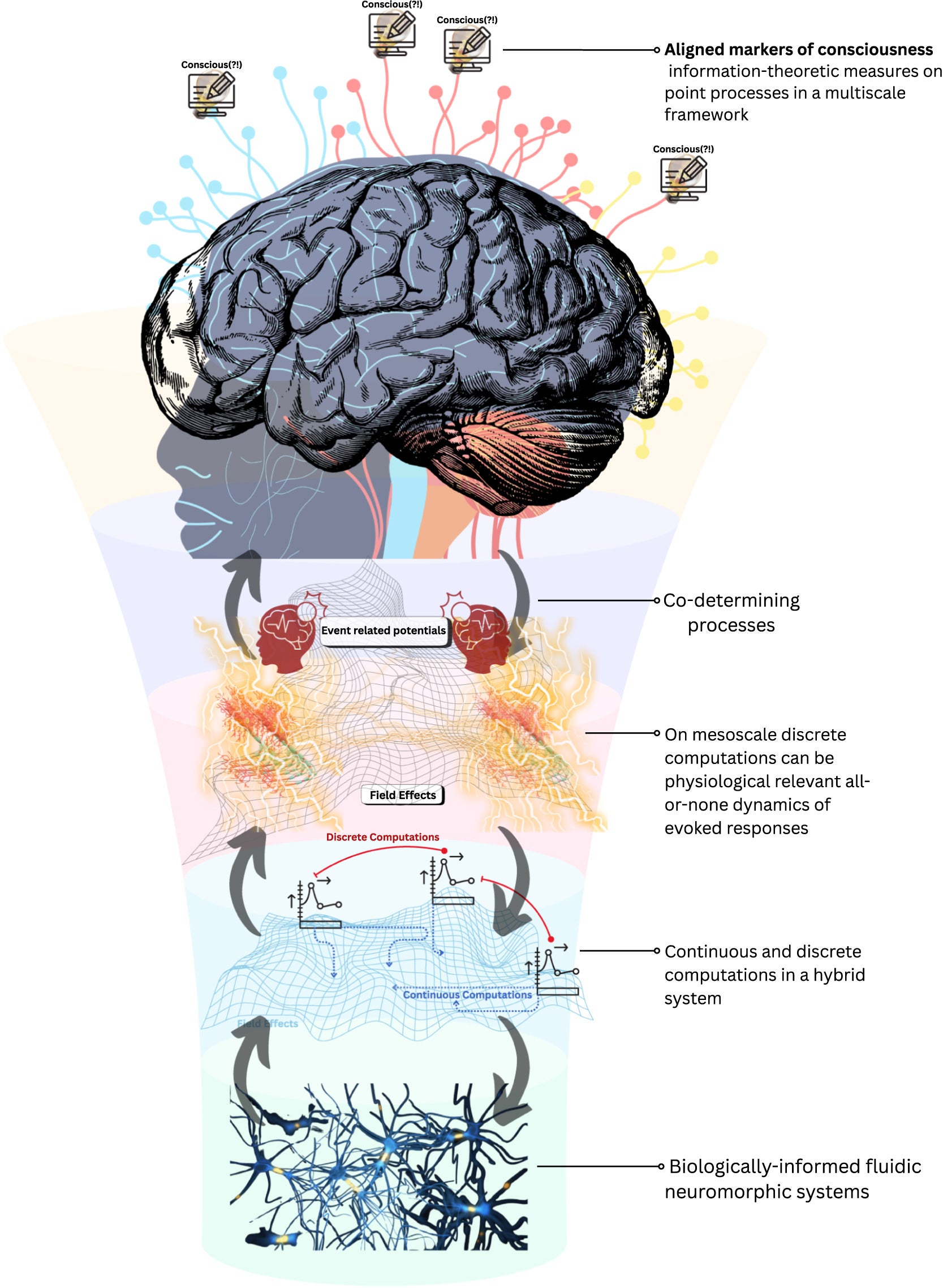 A conceptual framework for scale-integrated hybrid systems. This schematic illustrates a conceptual design pathway for synthetic systems capable of approximating consciousness-relevant computation.