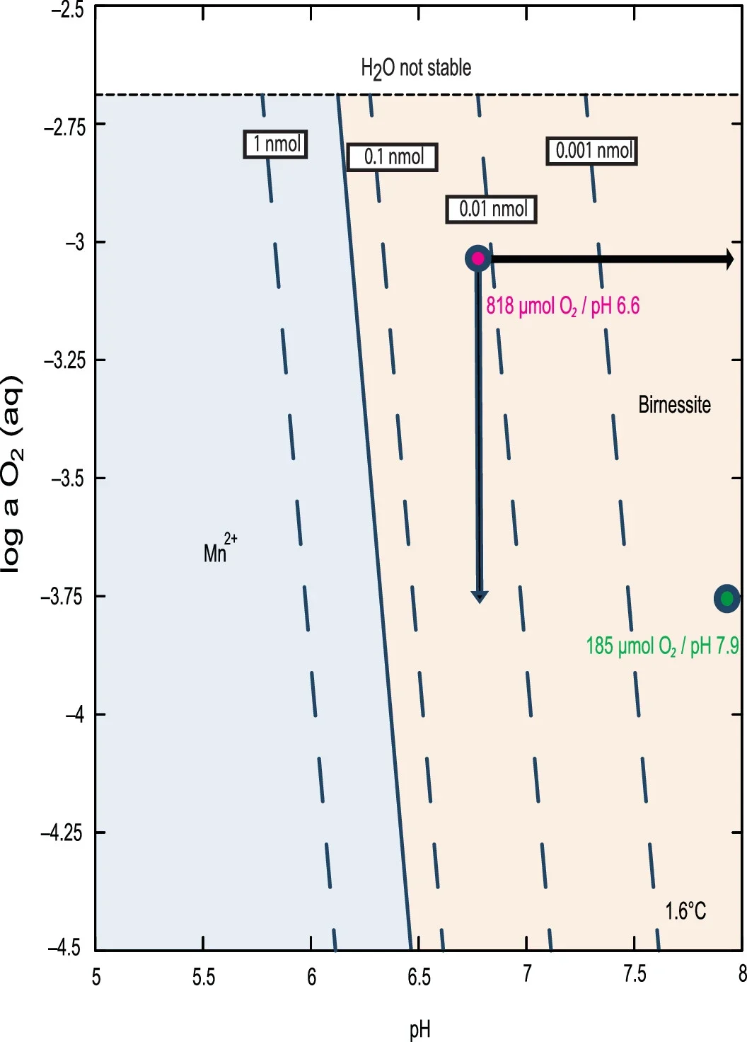 Phase stability and solubility of birnessite in seawater as a function of O2 activity and pH.