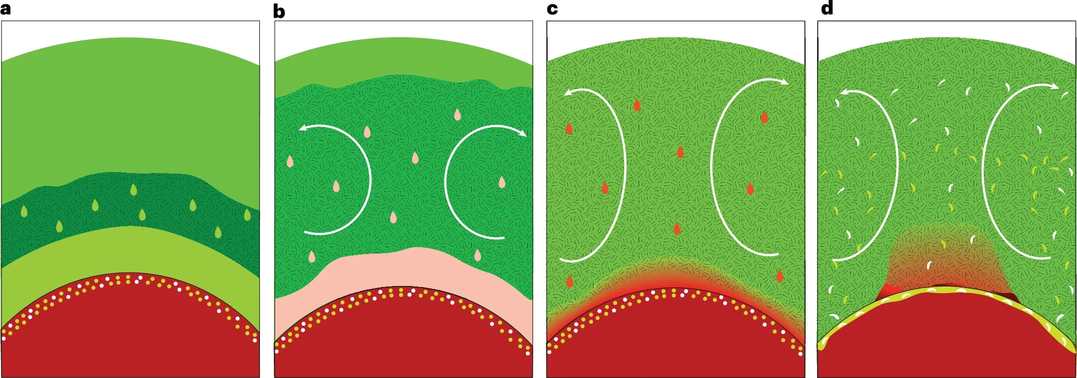 The illustration shows a cutaway revealing the interior of early Earth with a hot, melted layer above the boundary between the core and mantle. Scientists think some material from the core leaked into this molten layer and mixed in. Over time, that mixing helped create the uneven structure of Earth’s mantle that we see today.