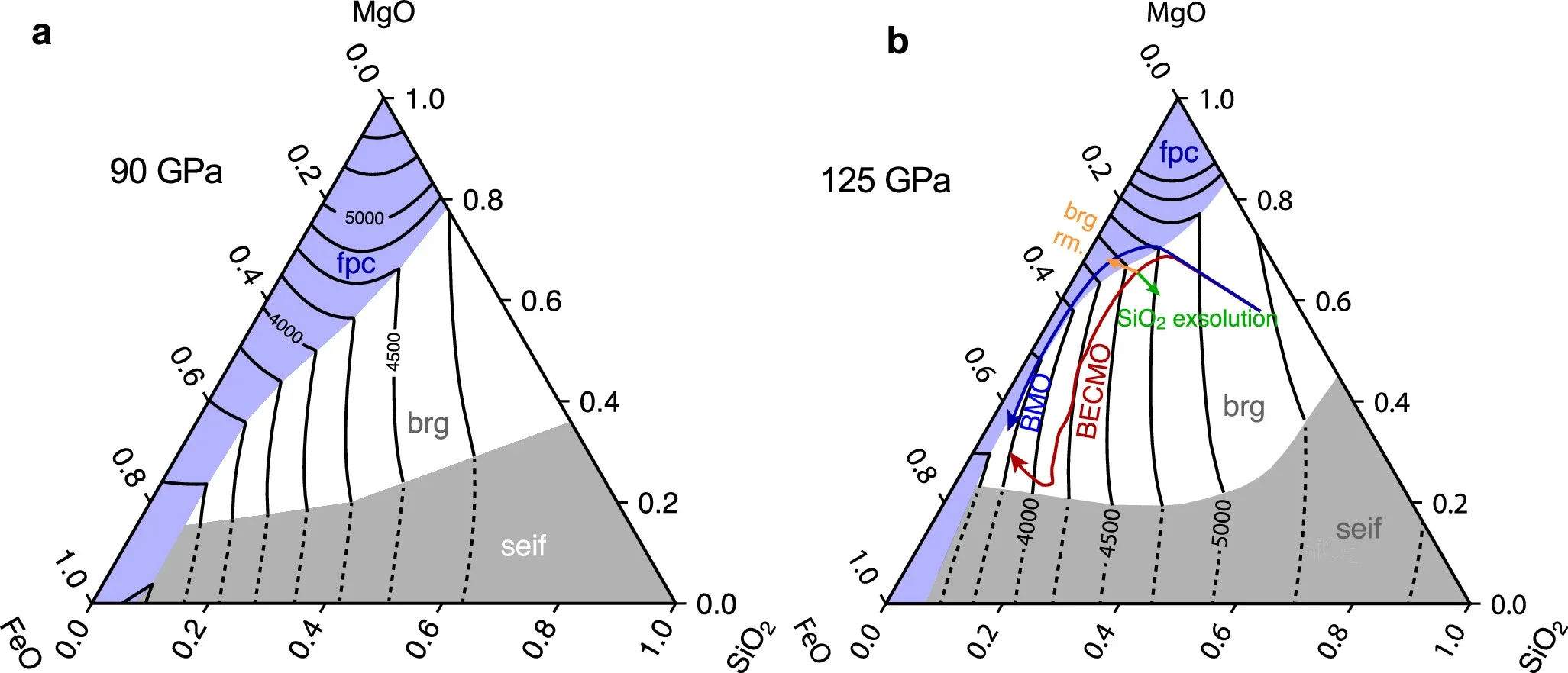 Ternary phase diagram of the MgO-FeO-SiO2 system.