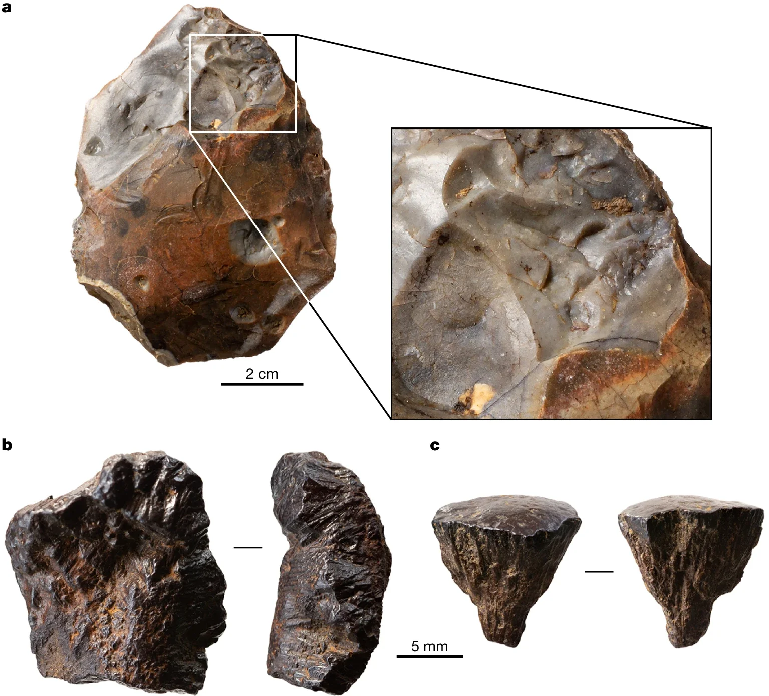 Handaxe and pyrite fragments from palaeosol. a, Heat-altered handaxe from palaeosol in Area I East with close-up of fractured surface caused by fire. b, Fragment of pyrite found on the surface of palaeosol in Area IV(6). c, Fragment of pyrite from palaeosol in Area VI, found in association with concentrations of heated flint.