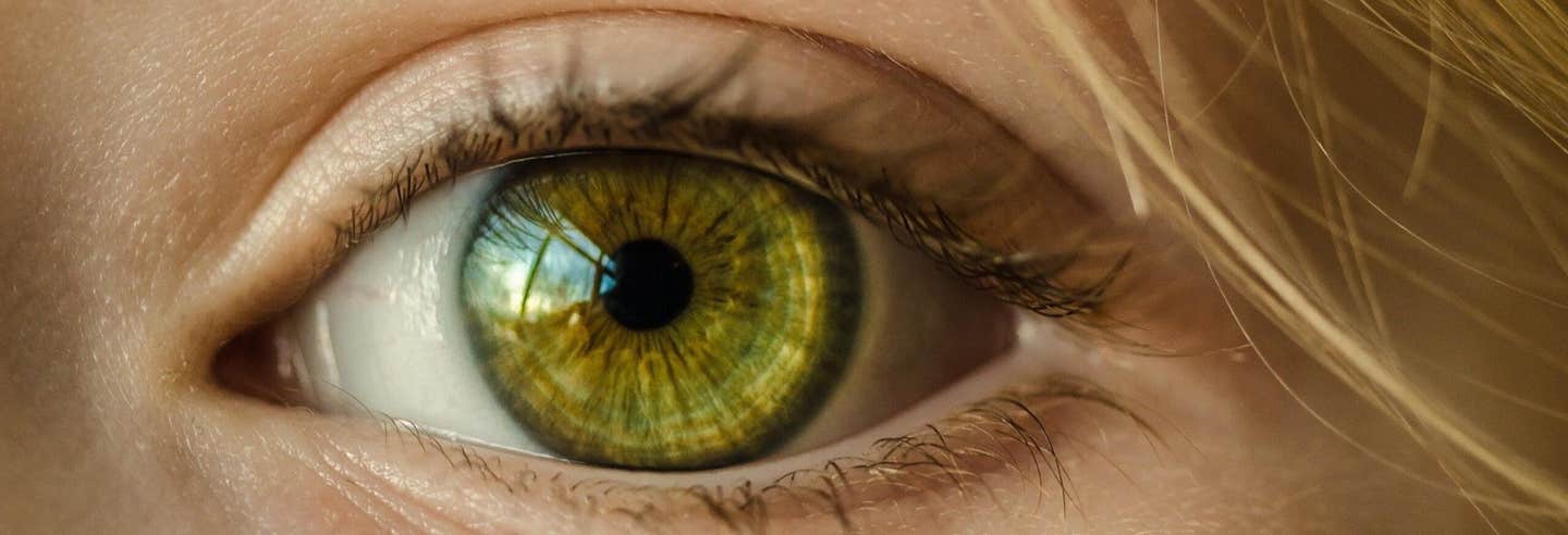 New MIT research shows briefly silencing an eye can restore adult amblyopia by restarting brain plasticity.