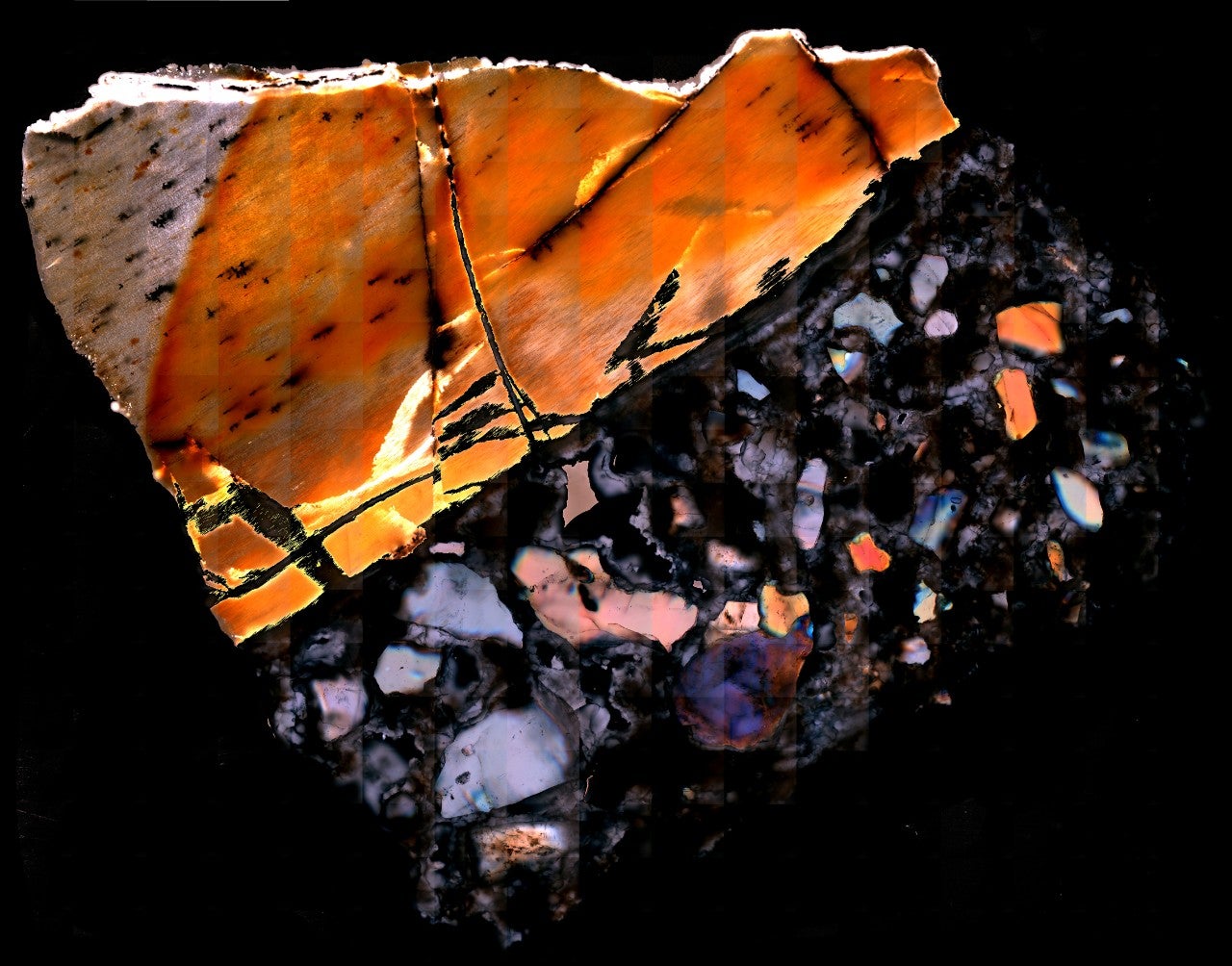 Fossilized elephant dentine (scale: 1.5 mm across), with rock seen in the lower right and dentine in the upper left. The white dentine is intact collagen. 