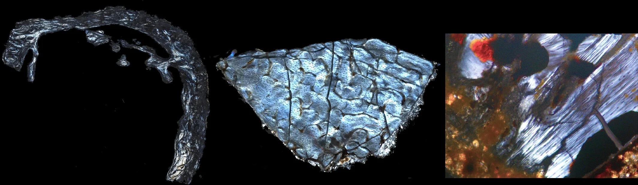 Images are of fossils from Olduvai Gorge (left; Xerus cf. inauris bone; field width (FW) = 4.434 mm), Chiwondo Beds (middle; Elephas recki shungurensis dentine; FW = 6.5 mm) and Makapansgat (right; Bovidae bone; FW = 80 µm).
