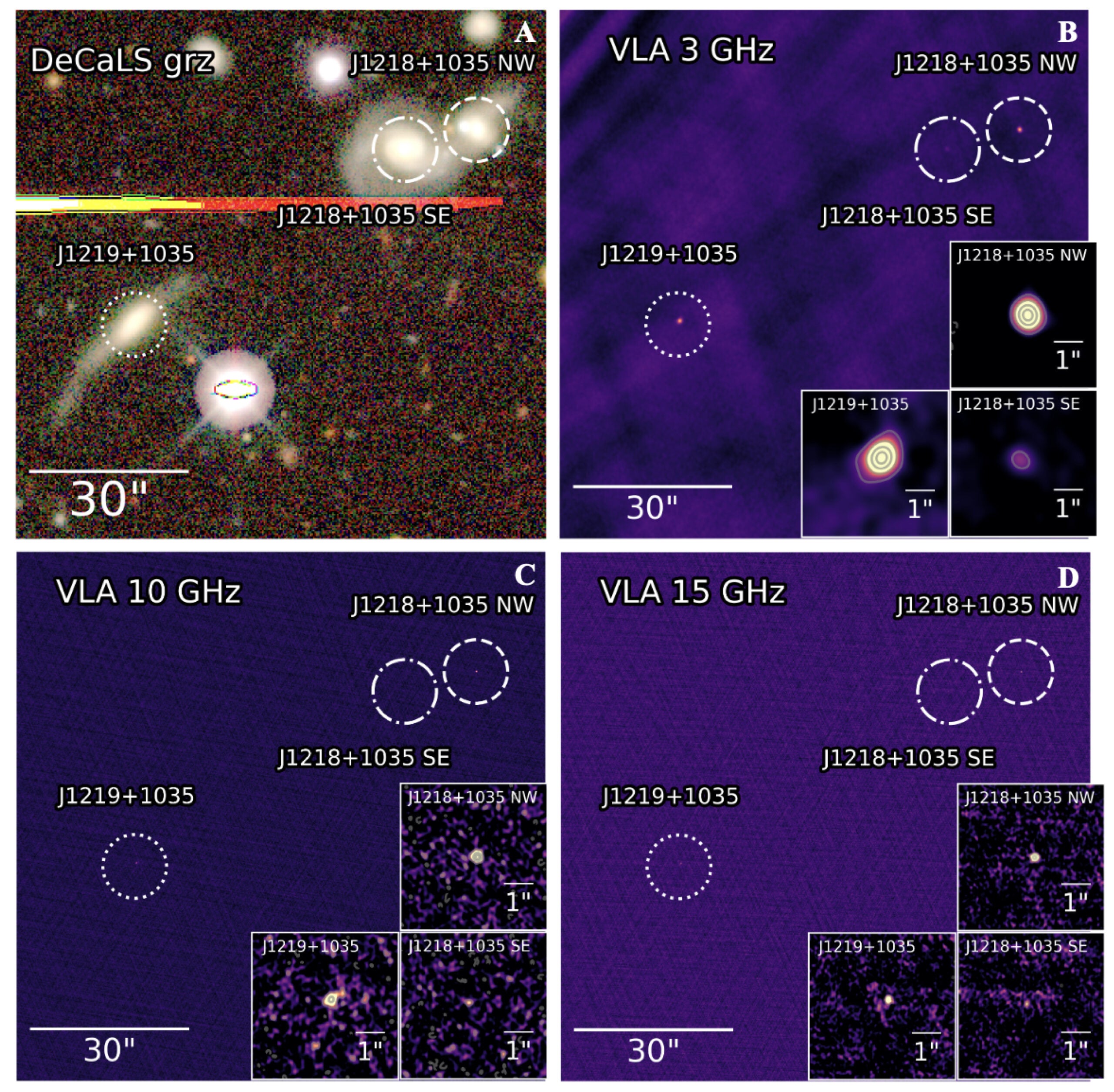 Optical DeCaLS grz images and radio VLA images of J1218/J1219+1035. 