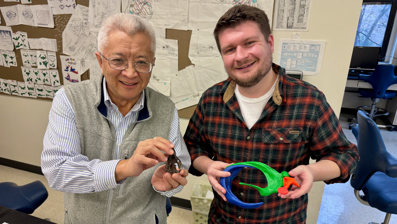 Zhe-Xi Luo (left) holds the fossil specimen of Thrinaxodon, while Alec Wilken (right) holds a 3D printed model of the middle ear of a modern opossum for comparison.