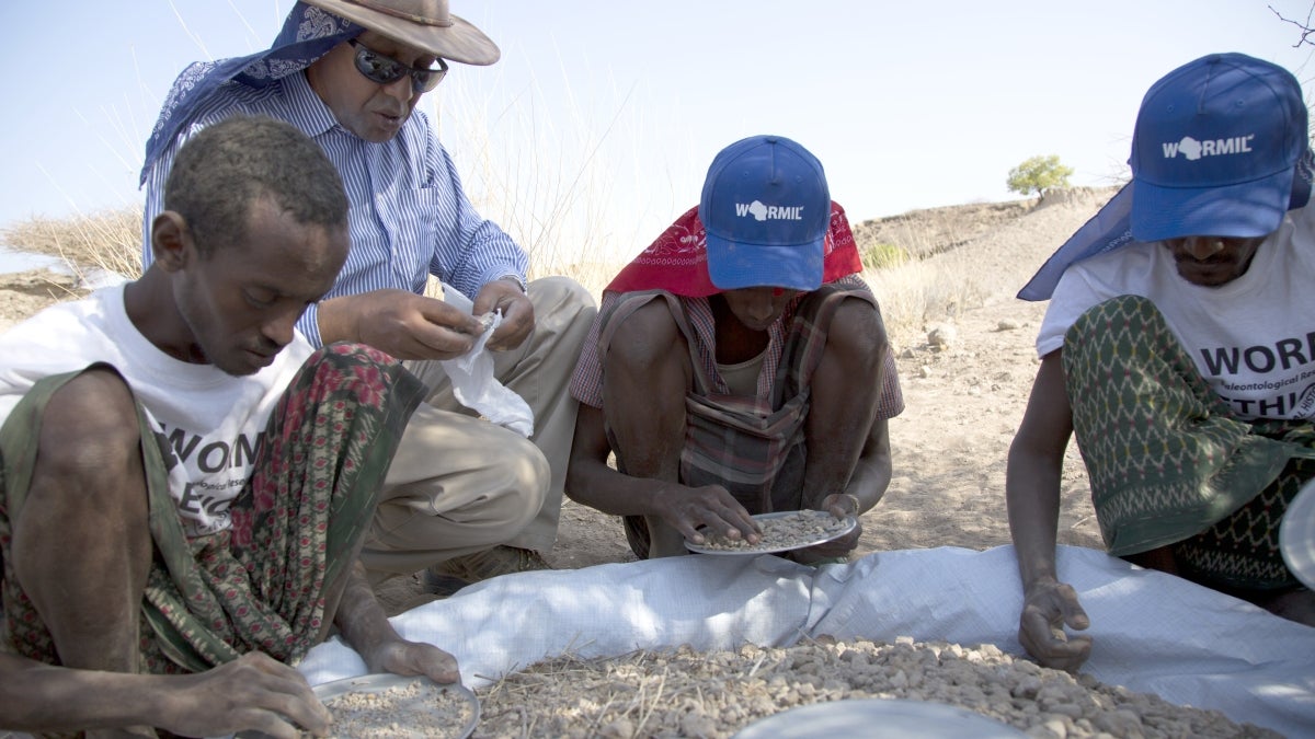 Professor Yohannes Haile-Selassie and his crew at one of the picking operations following a hominin discovery at Woranso-Mille.