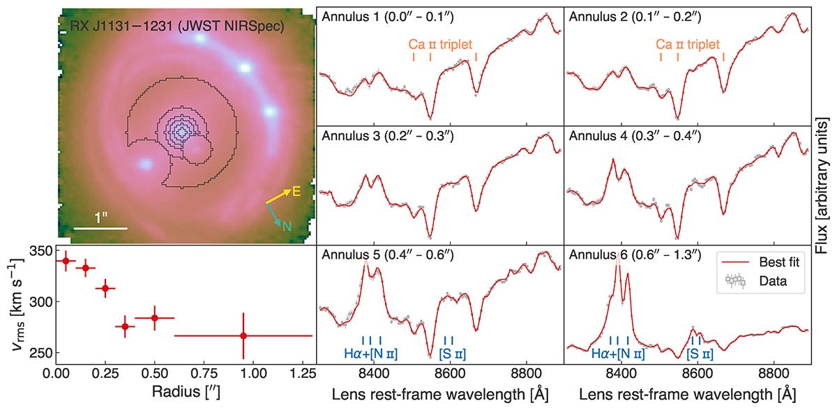 JWST-NIRSpec spectra and kinematic fits for RX J1131−1231. The six annuli (black contours), from which summed spectra are extracted, are illustrated on top of the NIRSpec white-light image.