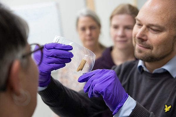 Ancient DNA reveals southern Africa’s hidden role in the rise of modern humans